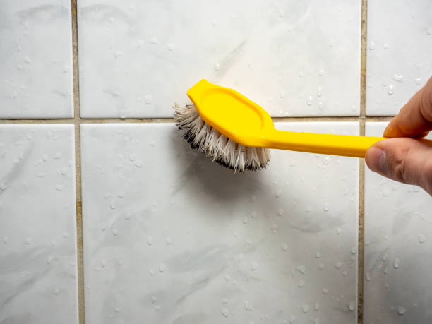Best Toxic Mold Removal  in Blue Hills, CT