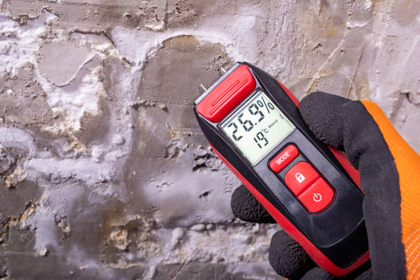 Best Residential Mold Removal  in Blue Hills, CT